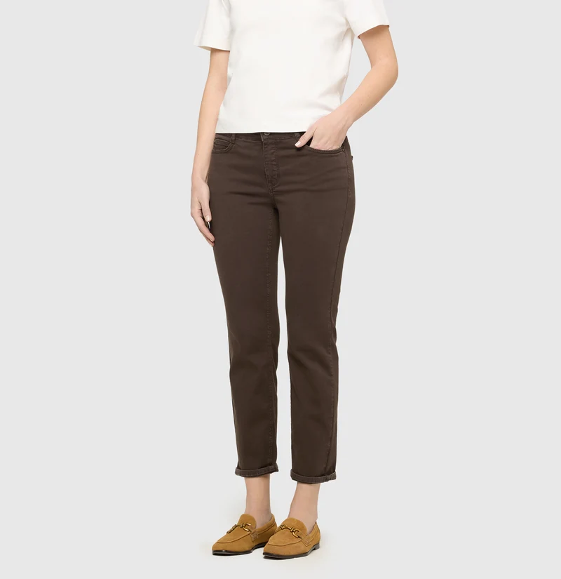 DREAM cropped