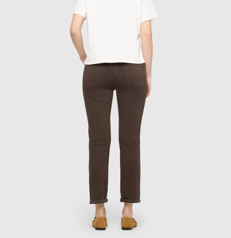 DREAM cropped
