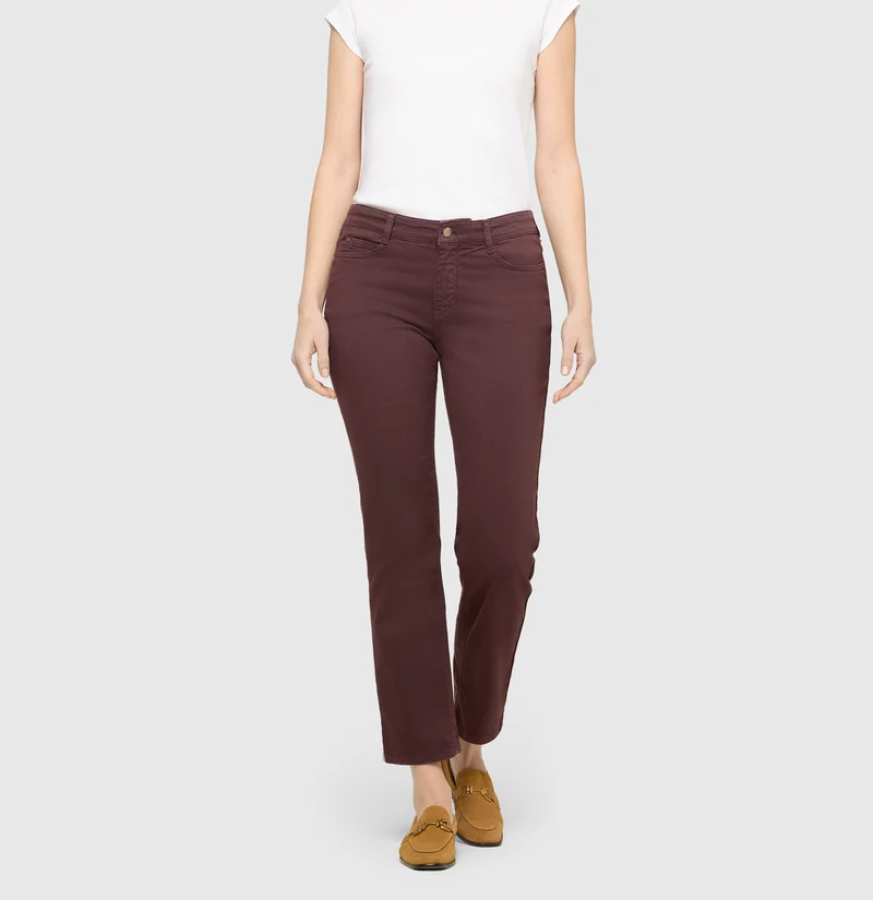 DREAM cropped
