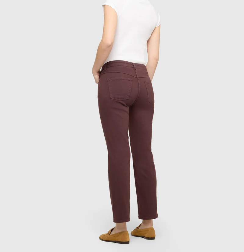 DREAM cropped