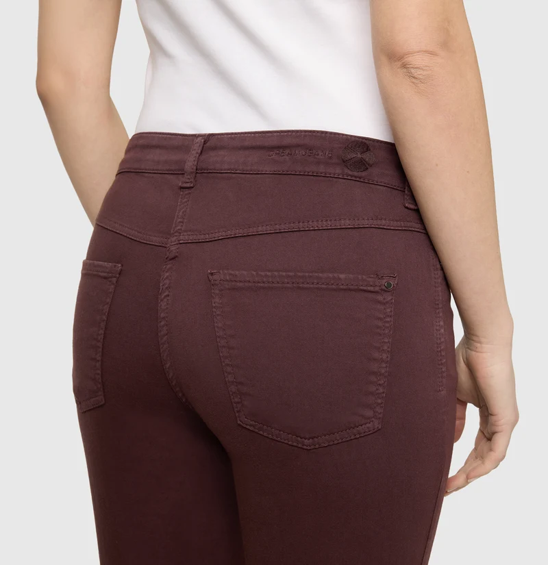 DREAM cropped