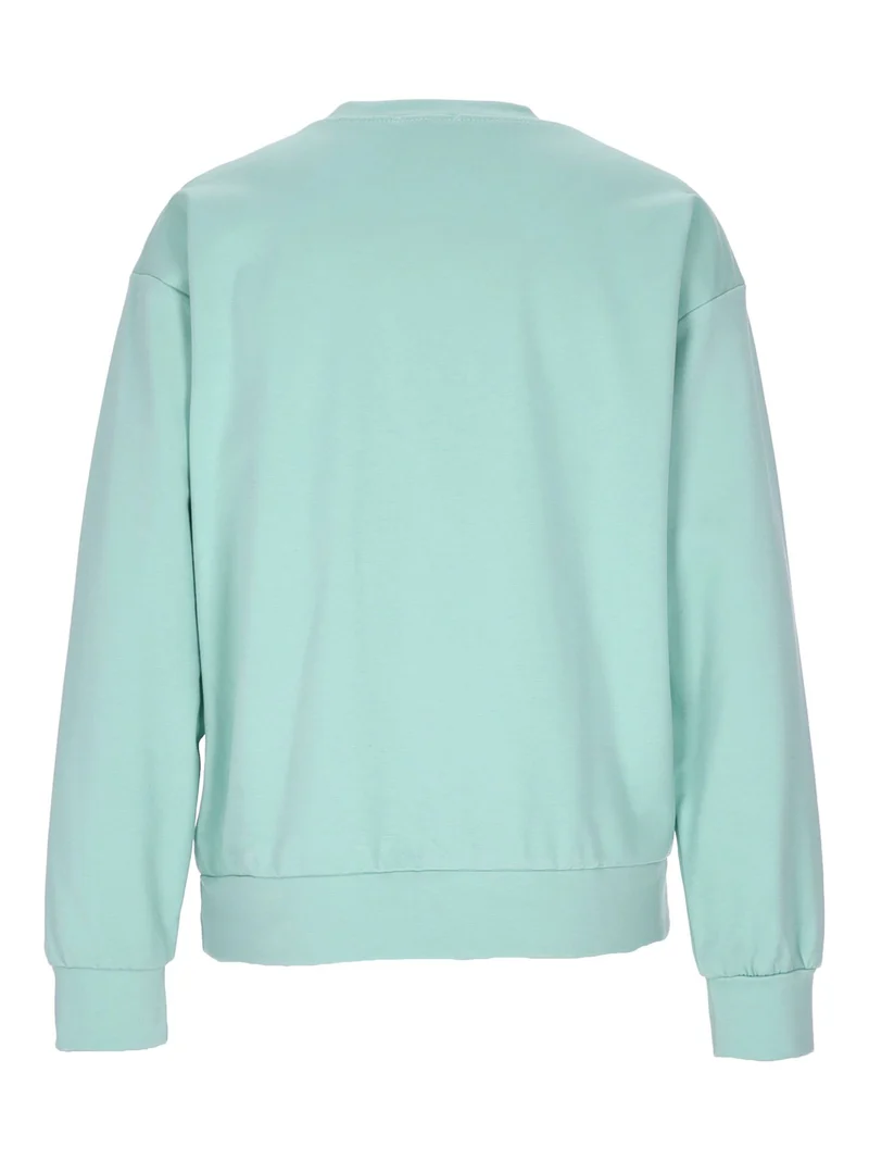 Damen Sweatshirt mit Blumenstickerei – Hellgrün