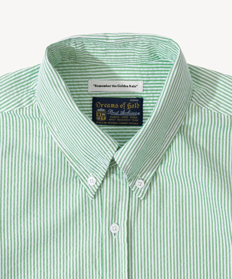 THE BUTTON DOWN SHIRT