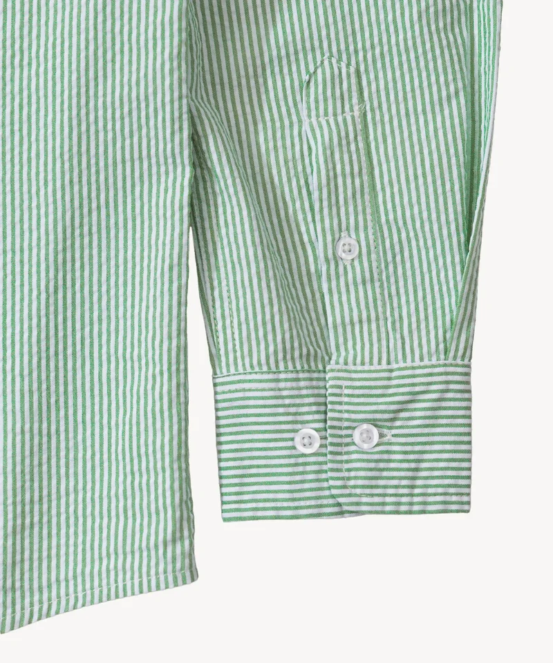 THE BUTTON DOWN SHIRT