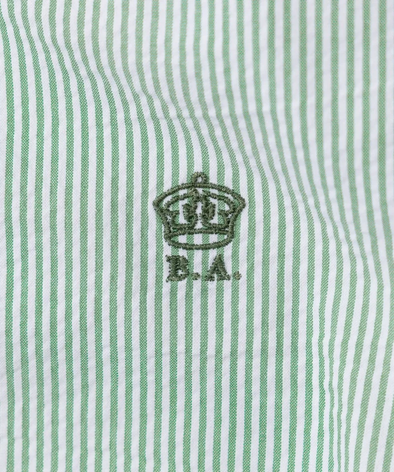 THE BUTTON DOWN SHIRT