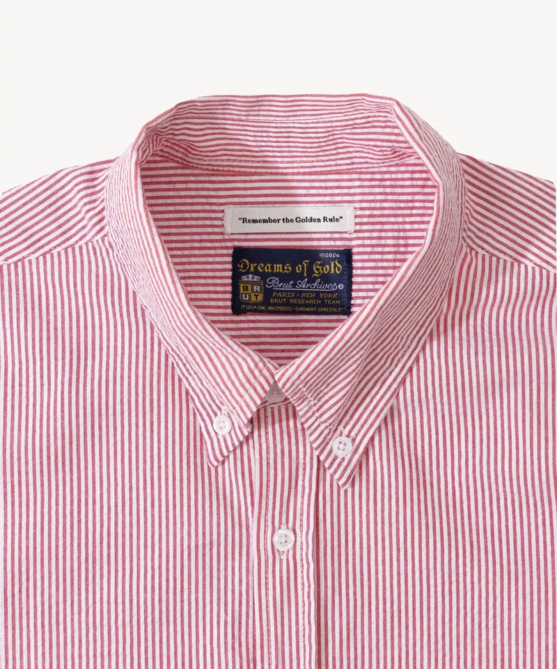 THE BUTTON DOWN SHIRT