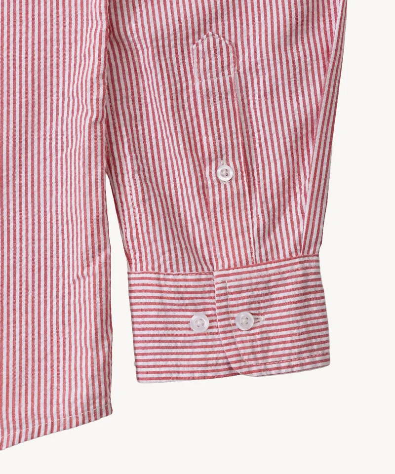 THE BUTTON DOWN SHIRT