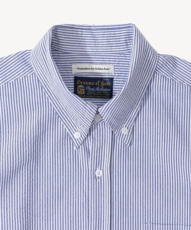 THE BUTTON DOWN SHIRT