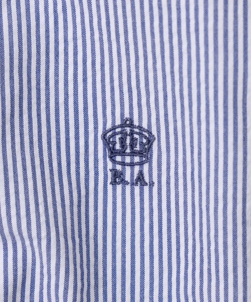 THE BUTTON DOWN SHIRT