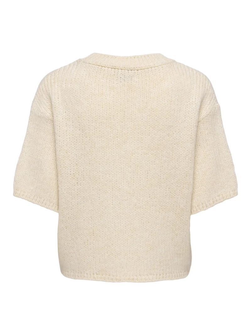 JDYDICTE S/S PULL O-NECK KNT NOOS, Birch