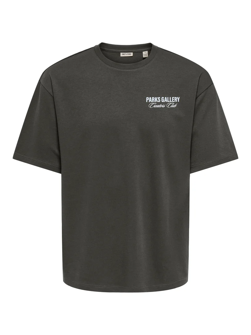 ONSPARKS GALLERY AIR BOXY SS TEE NO, Beluga/CENTRAL PARKS WHITE