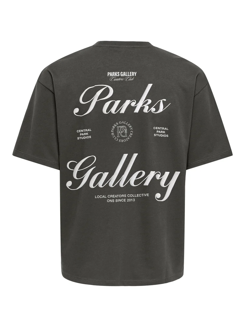 ONSPARKS GALLERY AIR BOXY SS TEE NO, Beluga/CENTRAL PARKS WHITE