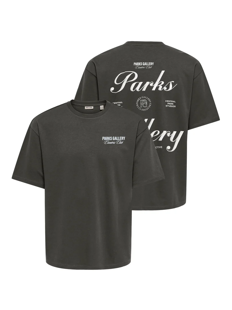 ONSPARKS GALLERY AIR BOXY SS TEE NO, Beluga/CENTRAL PARKS WHITE