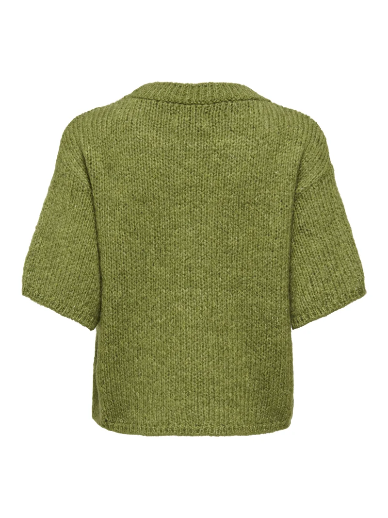JDYDICTE S/S PULL O-NECK KNT NOOS, Fern