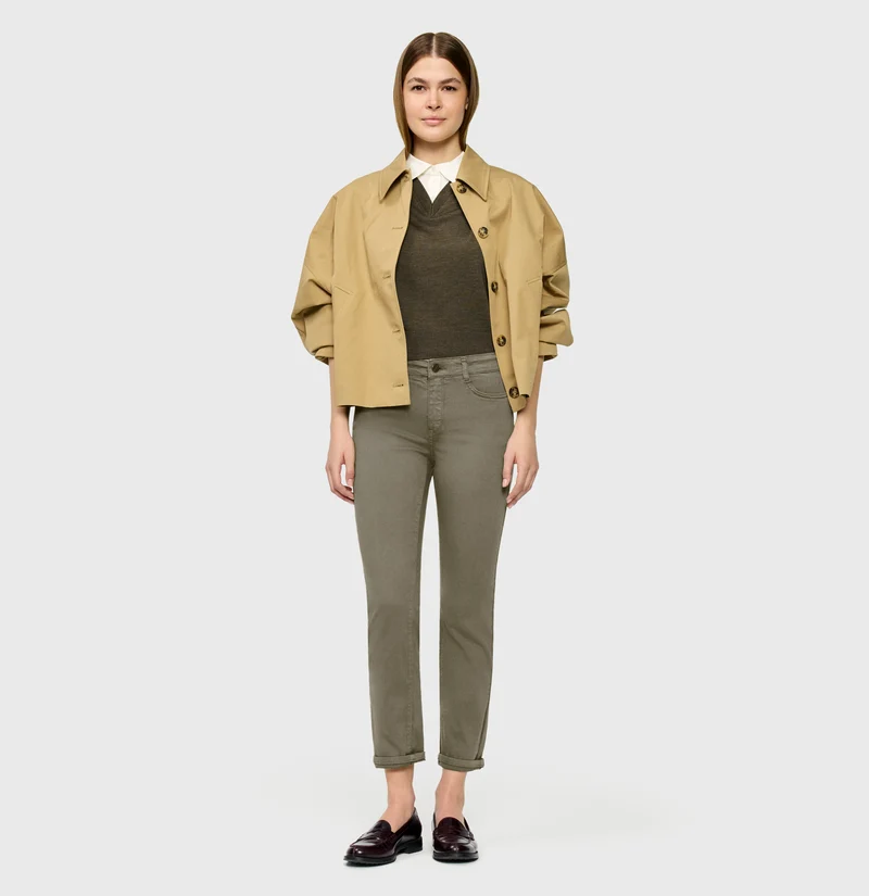 DREAM cropped