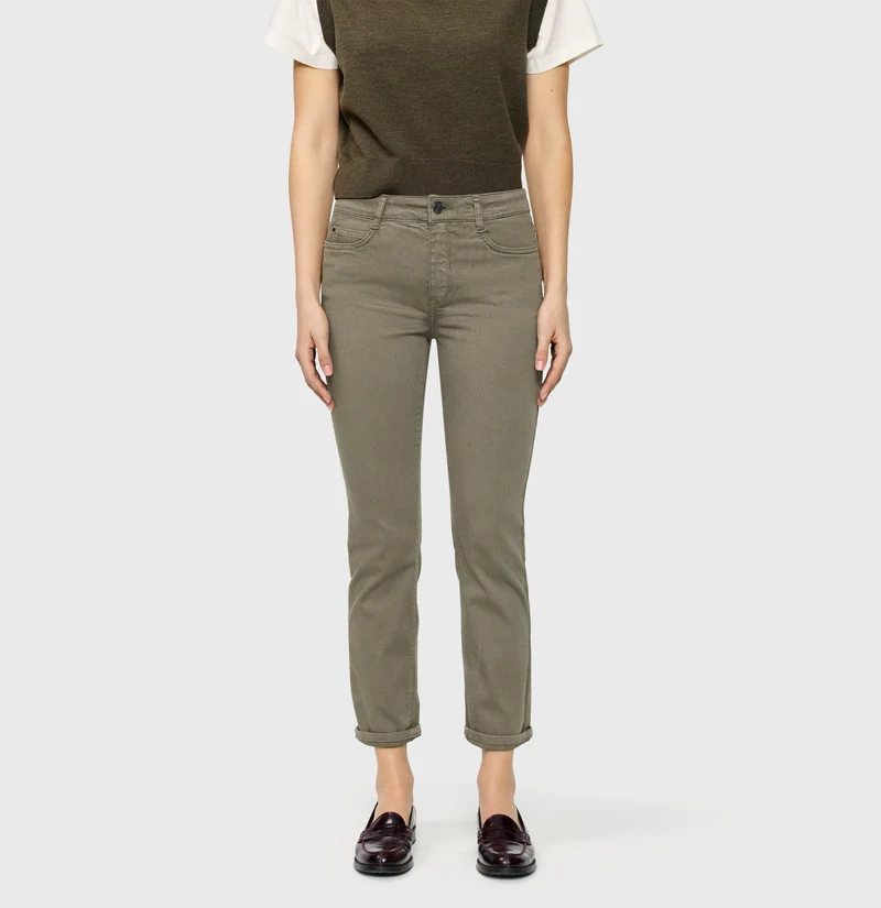 DREAM cropped