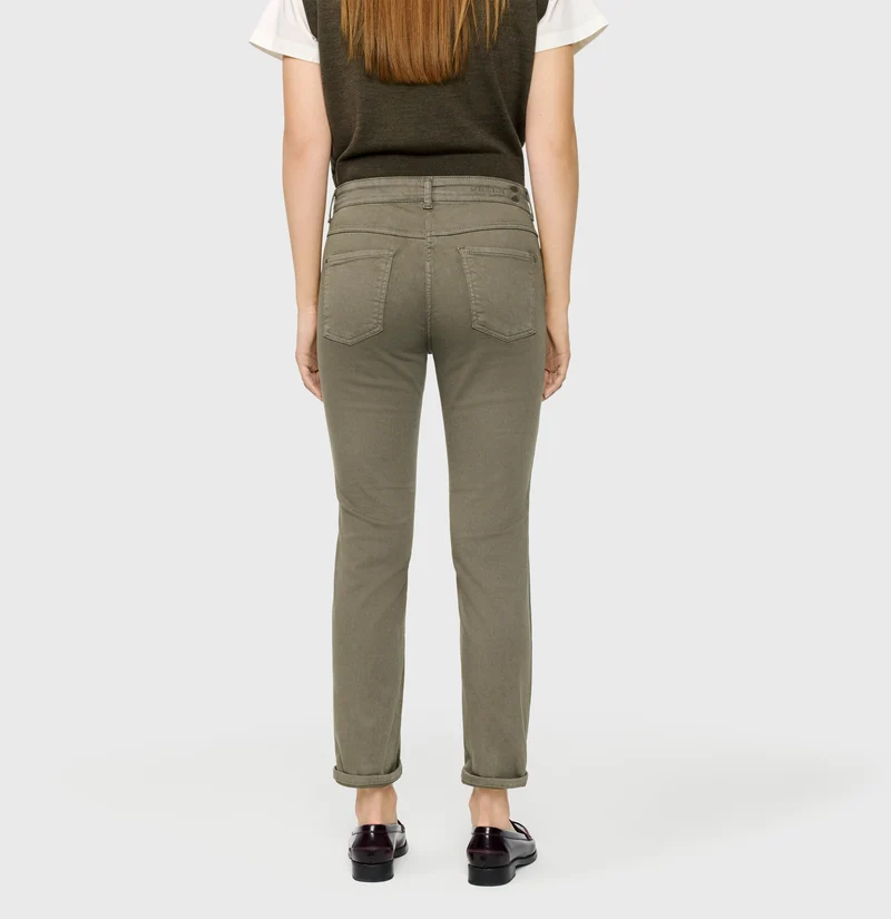DREAM cropped