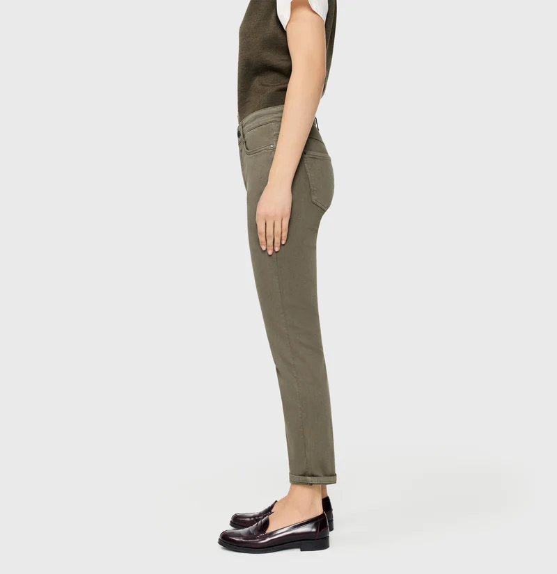 DREAM cropped