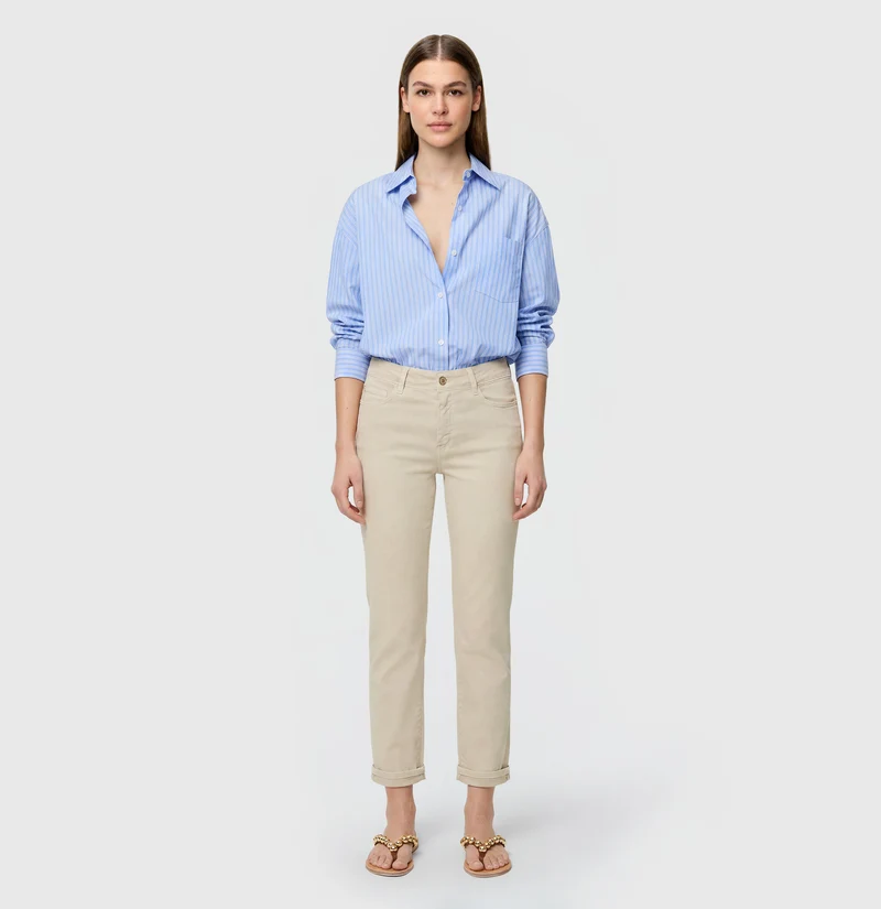 DREAM cropped