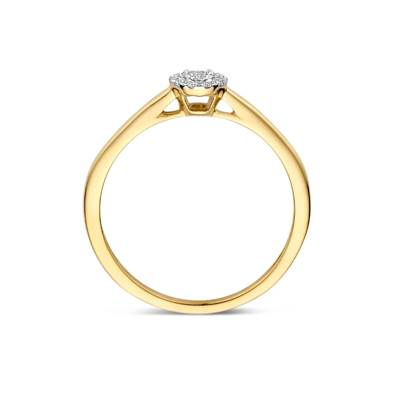 Blush Natural Diamonds 14 karat gold Ring 1678BDI/54