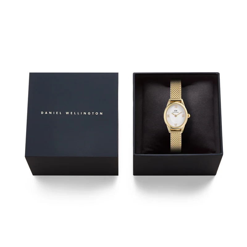 Daniel Wellington Ophelia Mini Mesh White Goldfarben Damenuhr DW00100939