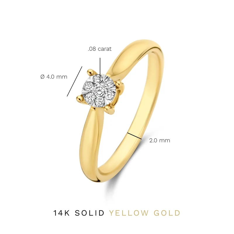 Isabel Bernard De la Paix Hanaé 14 Karat | Gold Ring | Diamant 0.08 Karat | IBD330007-50