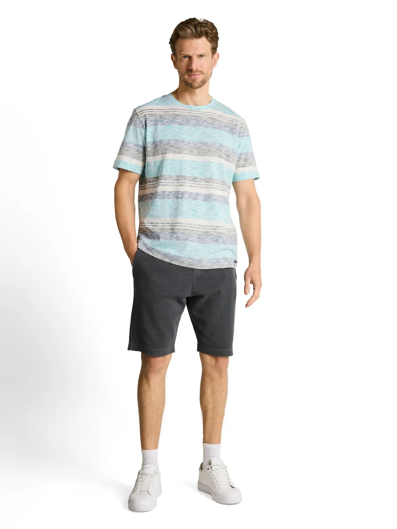 inside printed stripe t-shirt, river teal multi color stripe