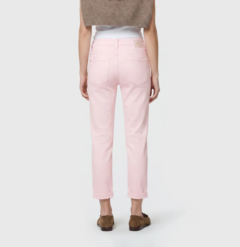 DREAM cropped