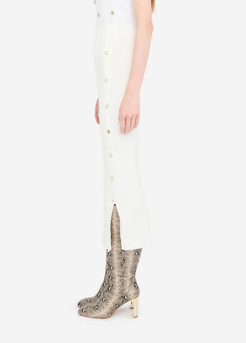 Long Mesh Skirt