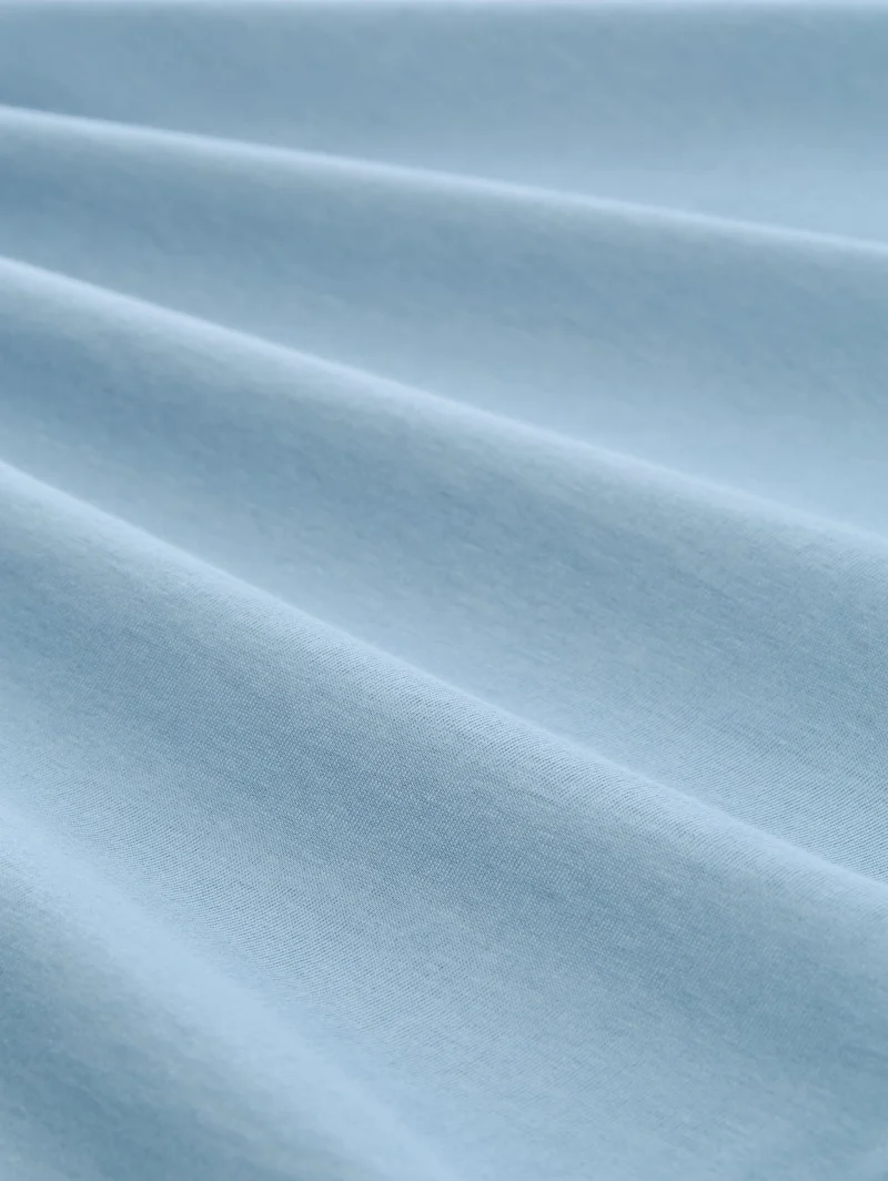 t-shirt with print, mountain spring blue