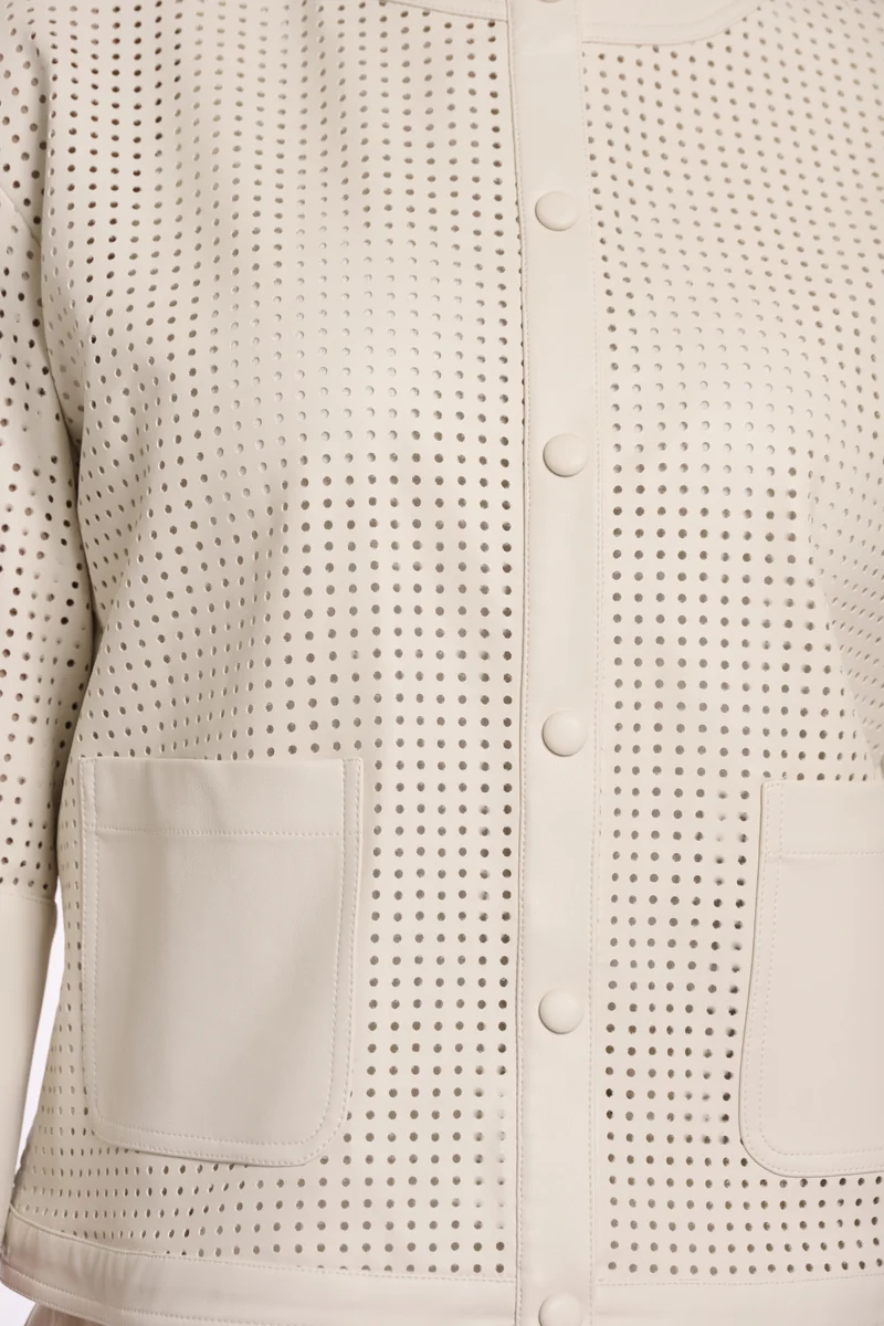 Abou.7502621, birch