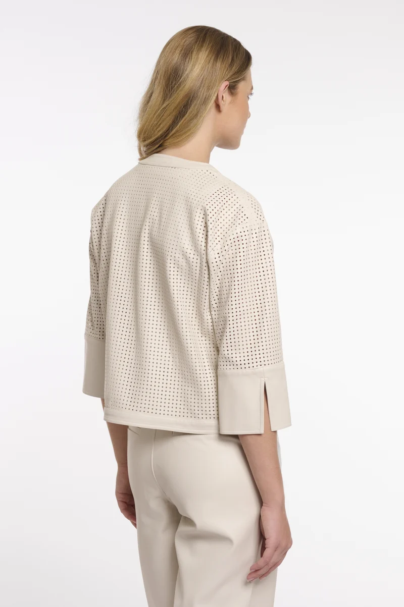 Abou.7502621, birch