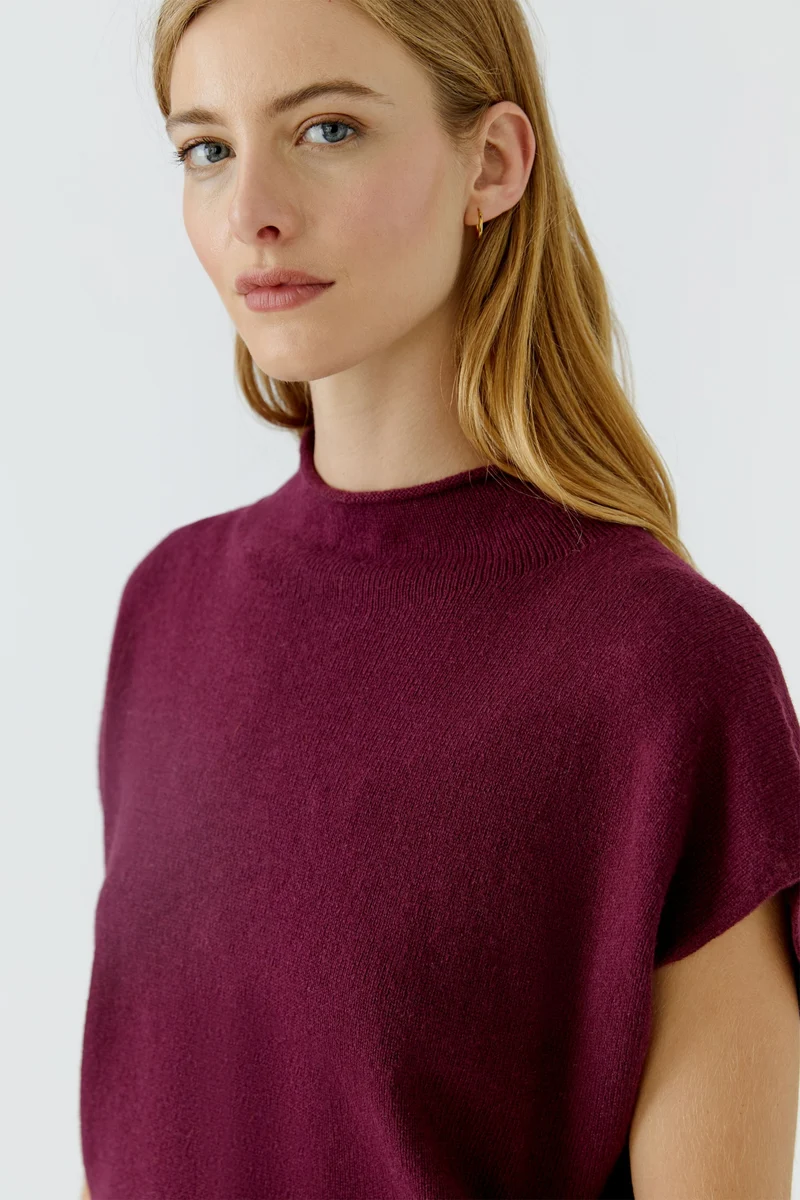 Pullunder, bramble berry