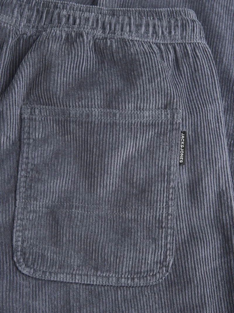 JPSTKANE HEATH CORDUROY JOGGER SN, Turbulence