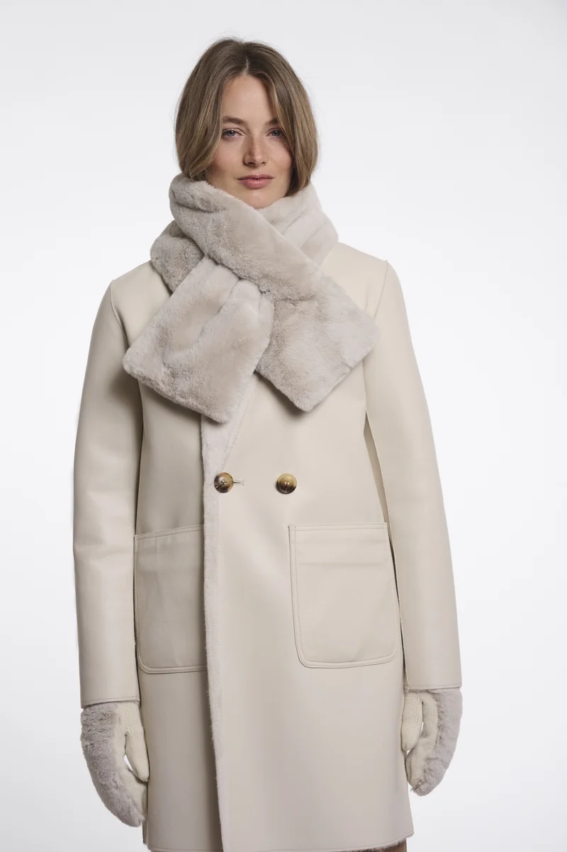 Stip.7002612, birch