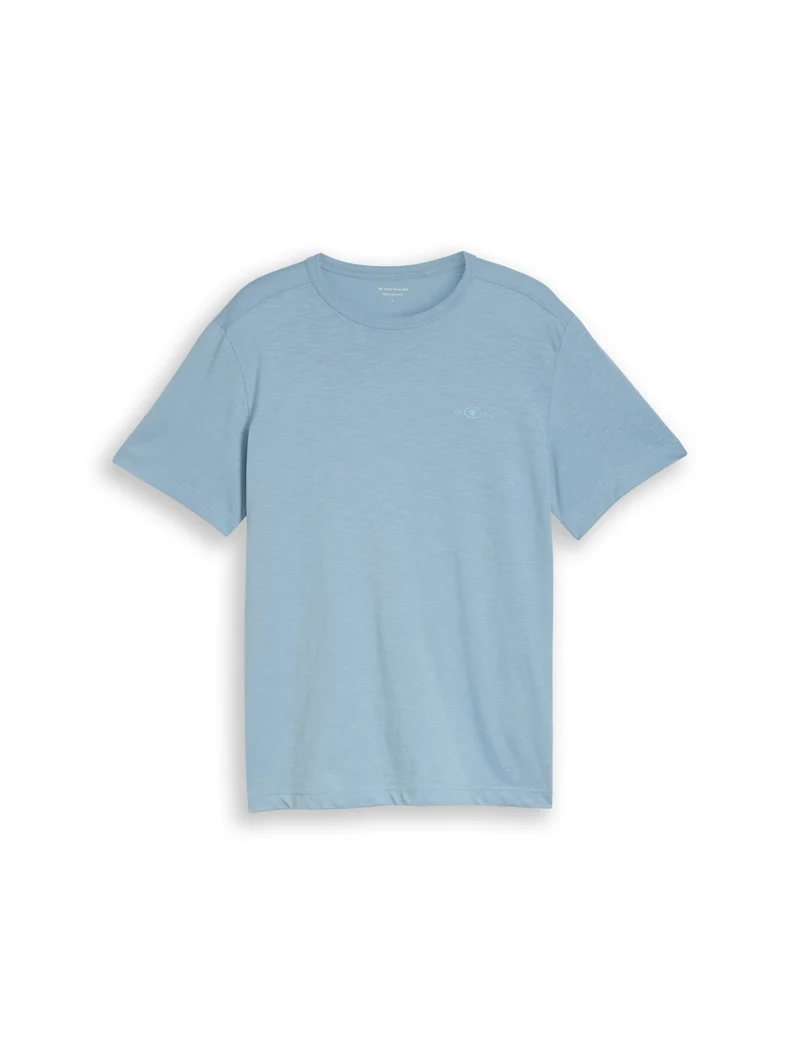 t-shirt with print, mountain spring blue