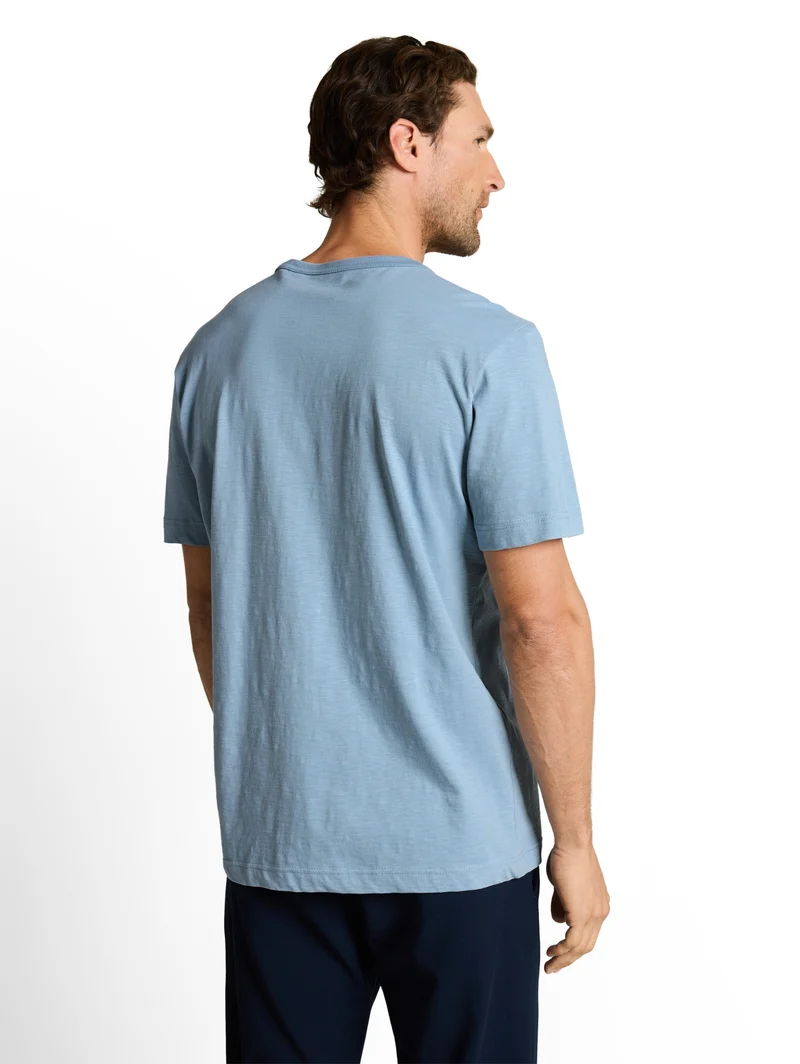 t-shirt with print, mountain spring blue