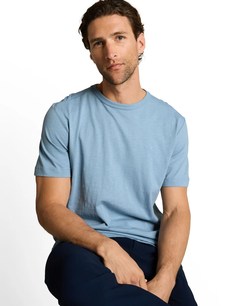 t-shirt with print, mountain spring blue