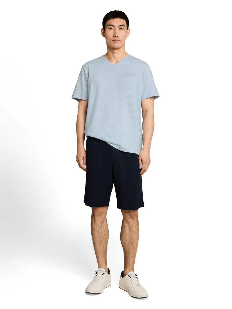 printed v-neck t-shirt, light blue grey