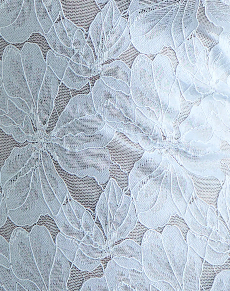 Titania Minikleid mit Kragen aus Zinnia-Spitze Blau