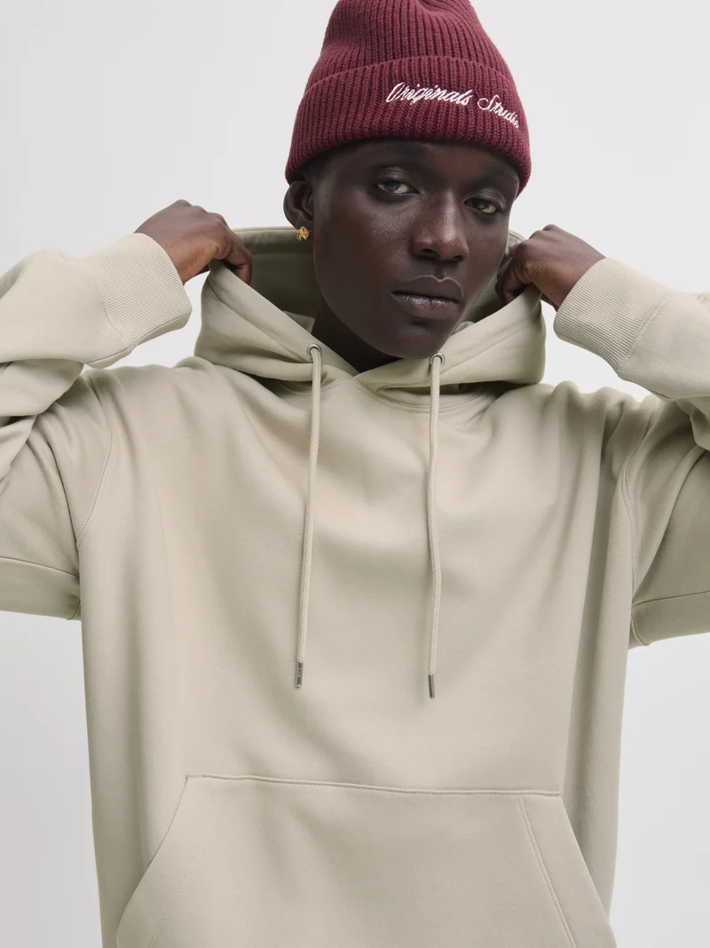 JJEACE SWEAT HOOD NOOS, Moonbeam
