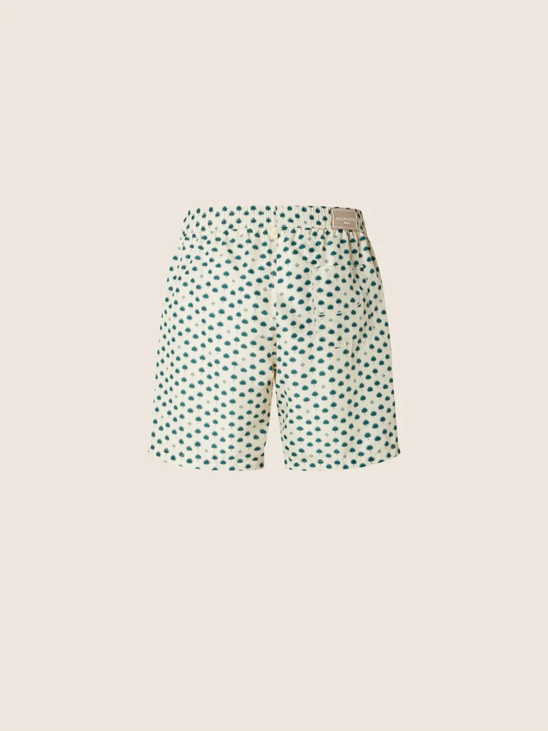 Technical Fabric Swim Shorts