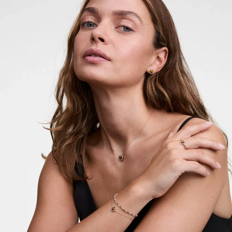 Daniel Wellington Audrey Tiger Eye Armband DW00401439