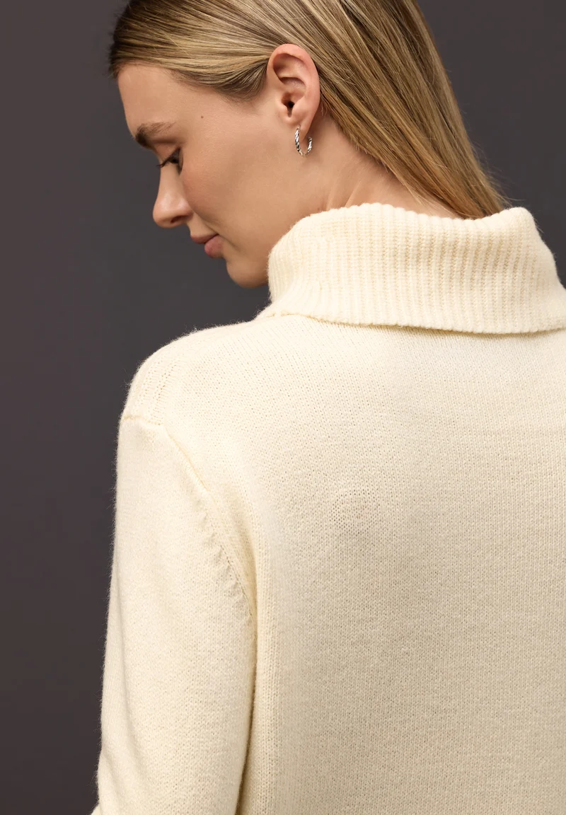 cosy sweater with roll-neck, soft beige