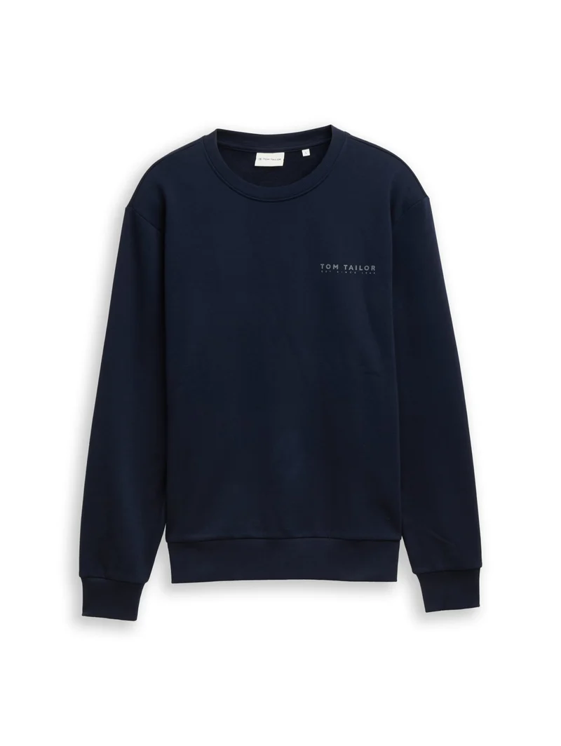 printed crew neck sweater, sky captain blue