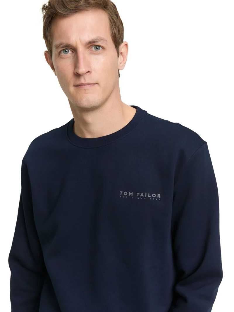 printed crew neck sweater, sky captain blue