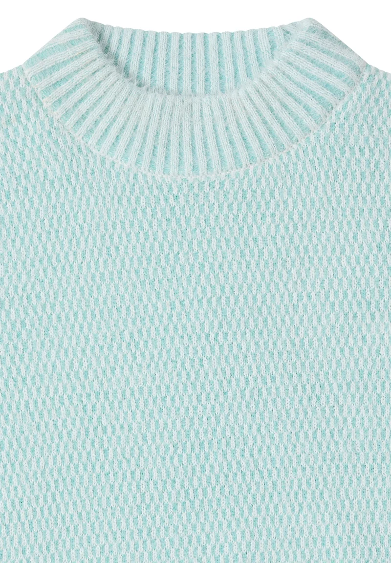 TOS_Minimal Jacquard turtle, light foam blue