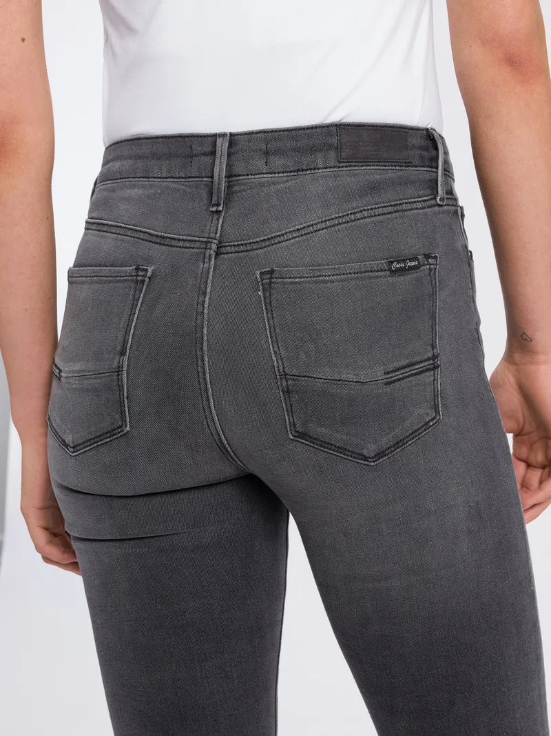 ALAN | DAMEN