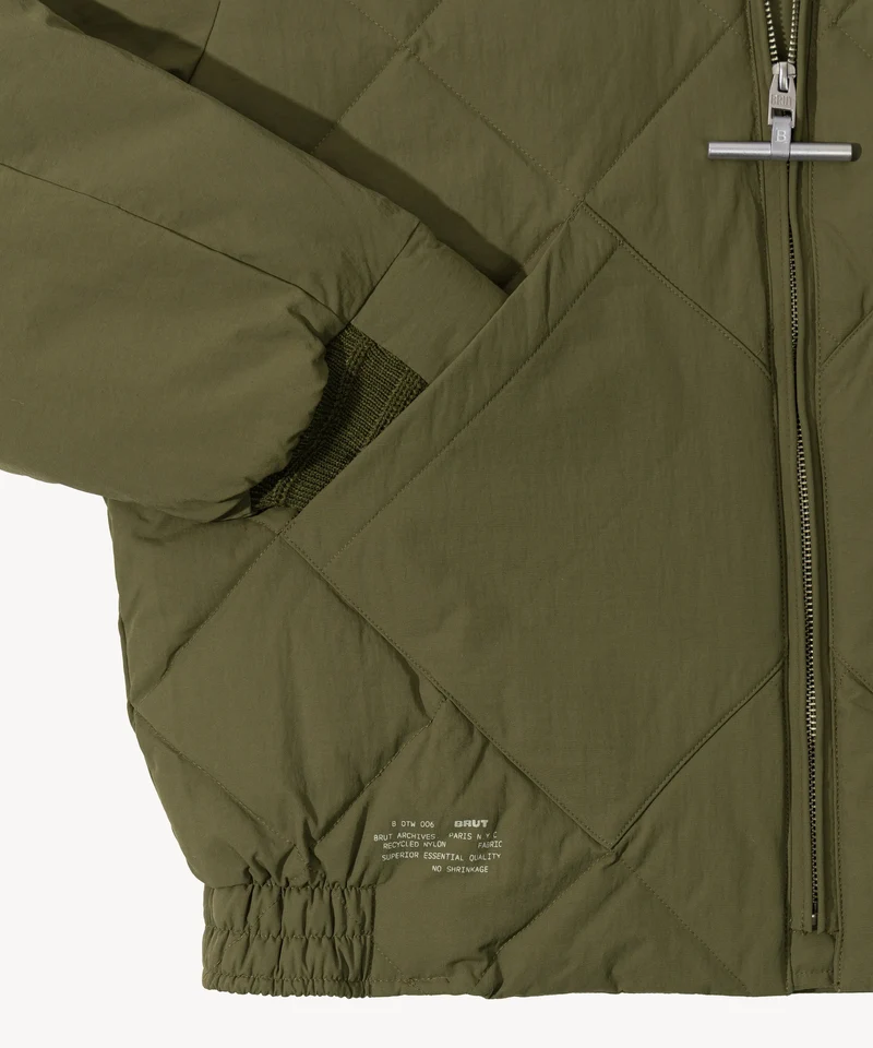 THE DOWN JACKET