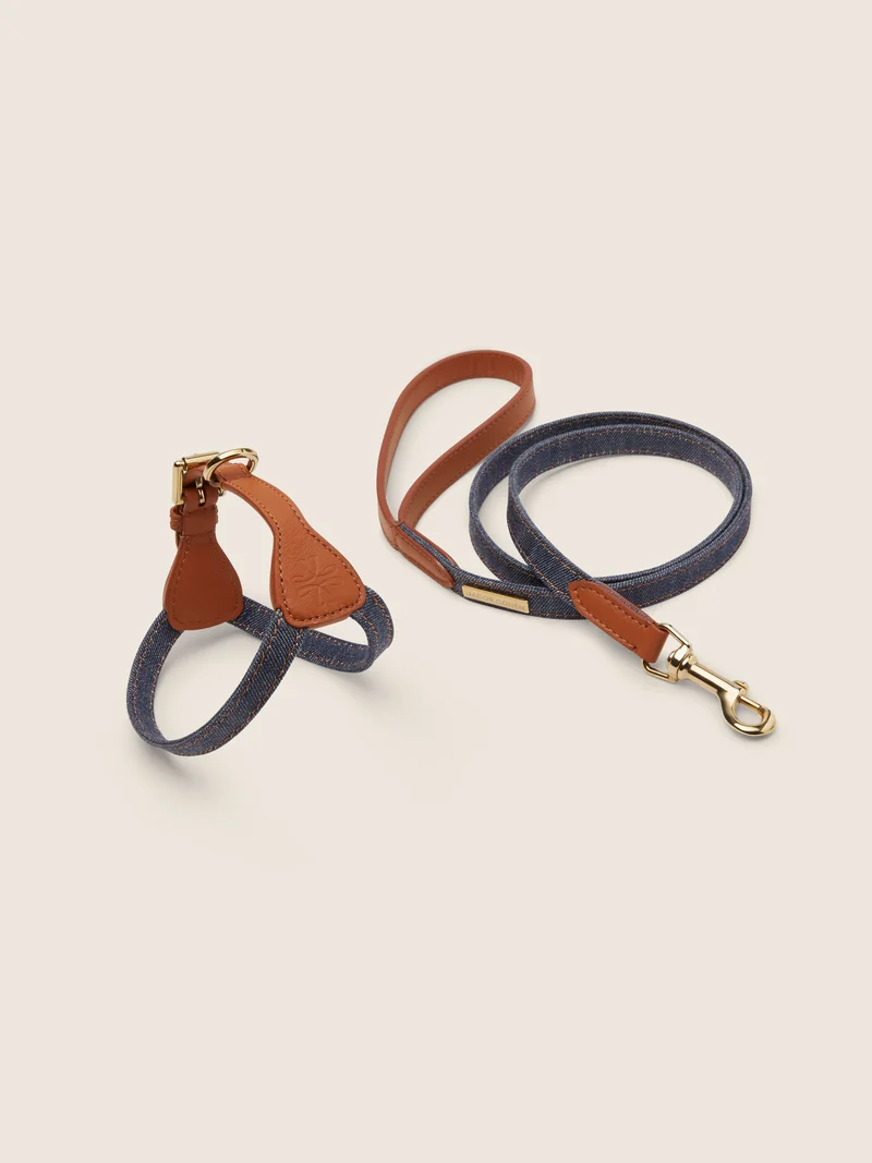 Denim and Leather Harness and Leash Kit